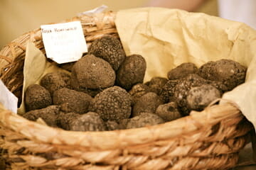 SantAgata Feltria Truffles Discover Luxury Food: Truffles - EAT LOVE SAVOR International Luxury Lifestyle Magazine