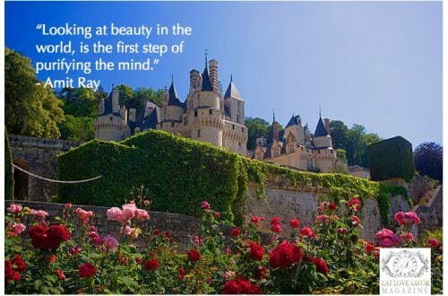 looking at beauty quote Quote: Looking At Beauty in the World - EAT LOVE SAVOR International Luxury Lifestyle Magazine