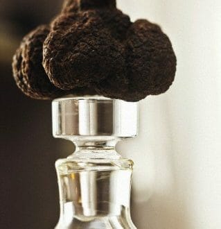 black truffle and oil How and When to Use Black vs White Truffle Oil - EAT LOVE SAVOR International Luxury Lifestyle Magazine