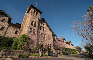 Inaugural Online Auction of Limited Production Premiere Napa Valley Wines