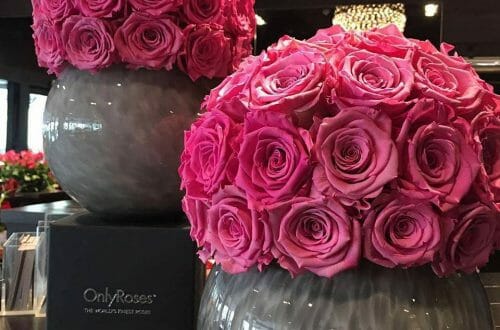 onlyroses big pink roses in vases Discover: OnlyRoses™ International Rose Specialist, home of the exclusive InfiniteRose™ - EAT LOVE SAVOR International Luxury Lifestyle Magazine