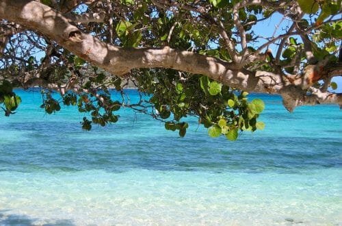 barbados 92162 960 720 Expat Life: What to Expect from a Caribbean Lifestyle - EAT LOVE SAVOR International Luxury Lifestyle Magazine