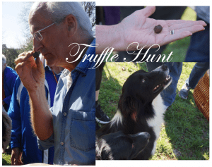 Truffle Hunting On The Périgord: The Quest For The Black Diamonds Of Cuisine