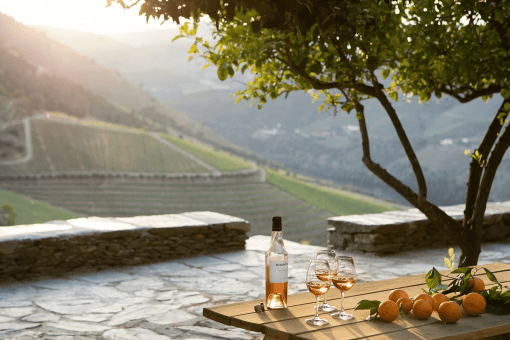Laranjeiras Gricha Retreat to the majestic Douro Valley and historic Porto for a unique wine adventure - EAT LOVE SAVOR International Luxury Lifestyle Magazine