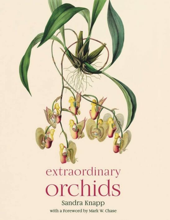 extraordinary orchids book